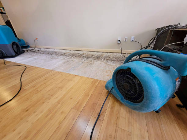Reliable Storm Water Damage Restoration contractor in Great Lakes, IL by Hirex Water Damage