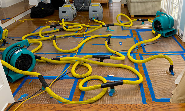 Professional Storm Water Damage Restoration technician working in Great Lakes, IL